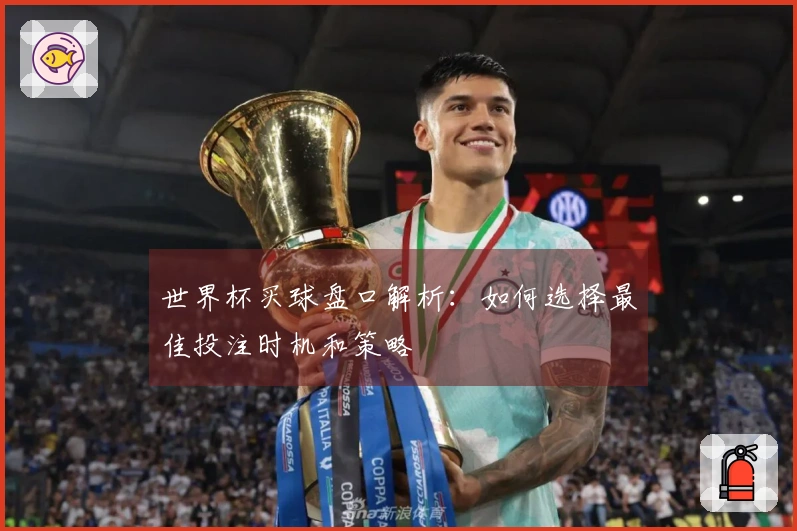 世界杯买球盘口解析：如何选择最佳投注时机和策略