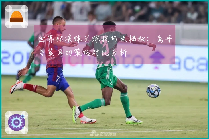 世界杯滚球买球技巧大揭秘：高手与菜鸟的策略对比分析