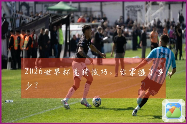 2026世界杯竞猜技巧，你掌握了多少？