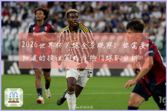 2026世界杯买球全景观察：你需要知道的投注策略与热门球队分析