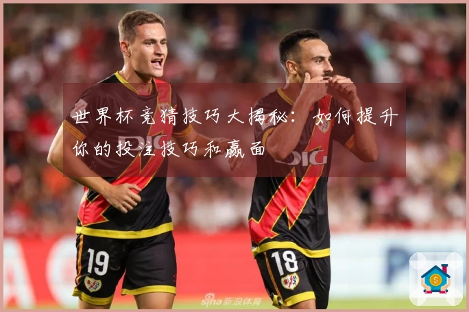 世界杯竞猜技巧大揭秘：如何提升你的投注技巧和赢面