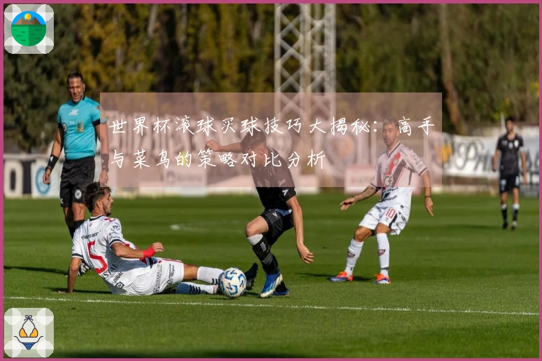 世界杯滚球买球技巧大揭秘：高手与菜鸟的策略对比分析