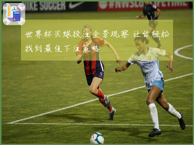 世界杯买球投注全景观察 让你轻松找到最佳下注策略