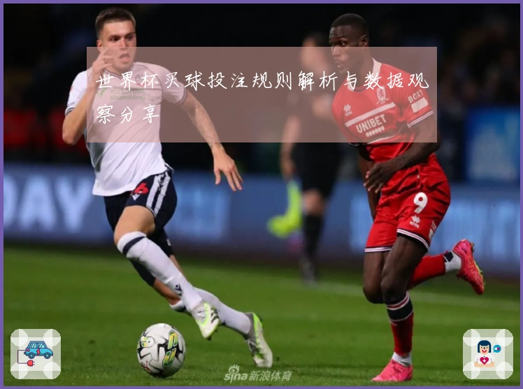 世界杯买球投注规则解析与数据观察分享